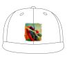 Snapback Caps Thumbnail